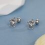 Sterling Silver Turtle Screw Back Earrings, thumbnail 1 of 11