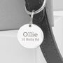 Personalised Classic Leather Dog Collar With Tag, thumbnail 11 of 12