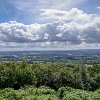 Blackdown Surrey Self Guided Hiking Pack, 7 of 11