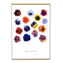 Viola Pansy Art Print, thumbnail 2 of 7