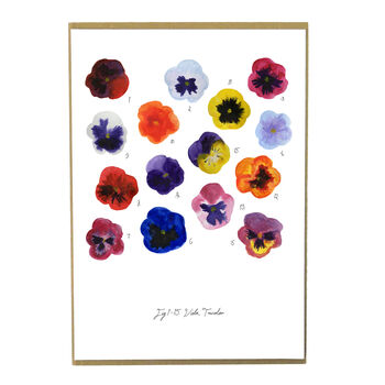 Viola Pansy Art Print, 2 of 7