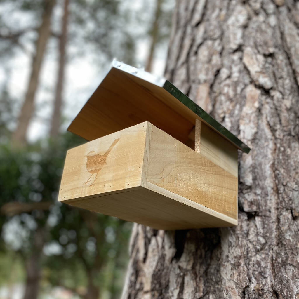 Squirrel Cosy Nest Box And Wooden Bird Nesting Box Set By Garden