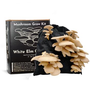 Oyster Mushroom Growing Kit – Gift Option, 3 of 12