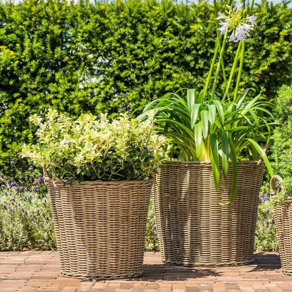 Woven Lined Garden Planter By Lime Lace | notonthehighstreet.com