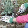 Grow Your Own Birth Flower, thumbnail 4 of 4