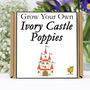 Gardening Gift. Grow Your Own Ivory Castle Poppies Kit, thumbnail 1 of 6