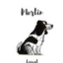 Springer Spaniel Personalised Dog Name Gift Print, thumbnail 2 of 4
