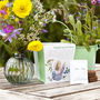 Grow Your Own Wildflower Bouquet And Vase Gift Set, thumbnail 1 of 12