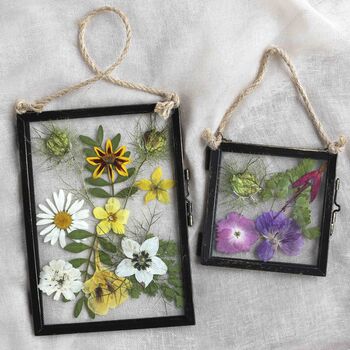 Pressed Flower Botanical Craft Kit For Kids And Adults, 8 of 10