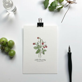 Botanical Wildflowers Hand Illustrated Postcard Set, 5 of 8