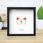 Scarlet Tip Insect Bug Moth Butterfly Box Frame Entomology Taxidermy Interior Design Modern Home Decor Wall Hanging Gift Ornament, thumbnail 1 of 3