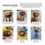 Two Or More Pet Personalised Christmas Card, thumbnail 7 of 7