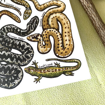 Reptiles Of Britain Greeting Card, 10 of 11