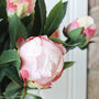 Artificial Pink Peony Arrangement In Globe Vase, thumbnail 4 of 5