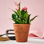 Personalised Terracotta Teacher Flower Pot, thumbnail 1 of 4