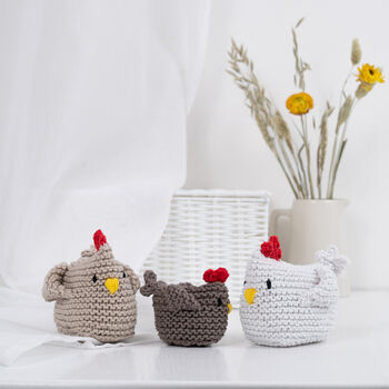 The Hen And Chick Beginner Knitting Kit, 3 of 12