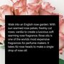 Everlasting Blush Scented Rose 21st Birthday Card Gift For Her, thumbnail 6 of 11