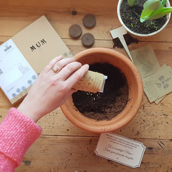 British Seed Subscription, 2 of 4