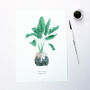 Banana Plant Watercolour Print, thumbnail 1 of 3