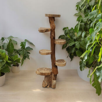 Teak Wood Freestanding Shelves Six Shelf Bookcase, 3 of 5