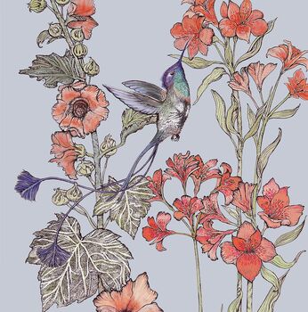 'Spatuletail Hummingbird' Print, 3 of 3