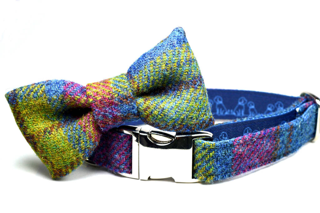 Rainbow Harris Tweed Dog Collar, 1 of 6