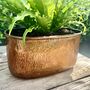 A Rectangular Indoor Planter With A Vintage Copper Finish, thumbnail 2 of 6