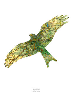 Personalised Red Kite Map Print, 4 of 4