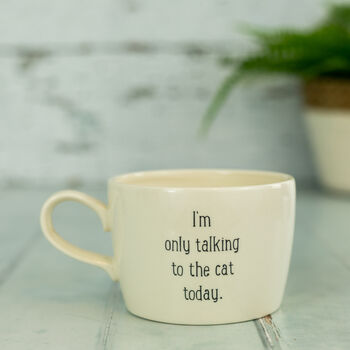I'm Only Talking To The Cat/Dog Today Handmade Mug, 3 of 5