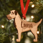 Border Terrier Personalised Dog Wooden Decoration, thumbnail 5 of 7