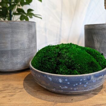 Preserved Moss In A Large Ceramic Handmade Bowl, 7 of 8