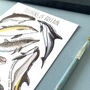 Dolphins Of Britain Watercolour Postcard, thumbnail 4 of 12