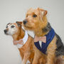 Navy And Pink Dog Wedding Suit, thumbnail 6 of 9