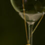 Gold Square Frame Necklace, thumbnail 4 of 4