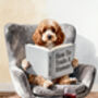 Your Own Dog Reading Book, 'How To Train A Human' Print, Customise Colours And Book Title, thumbnail 3 of 12