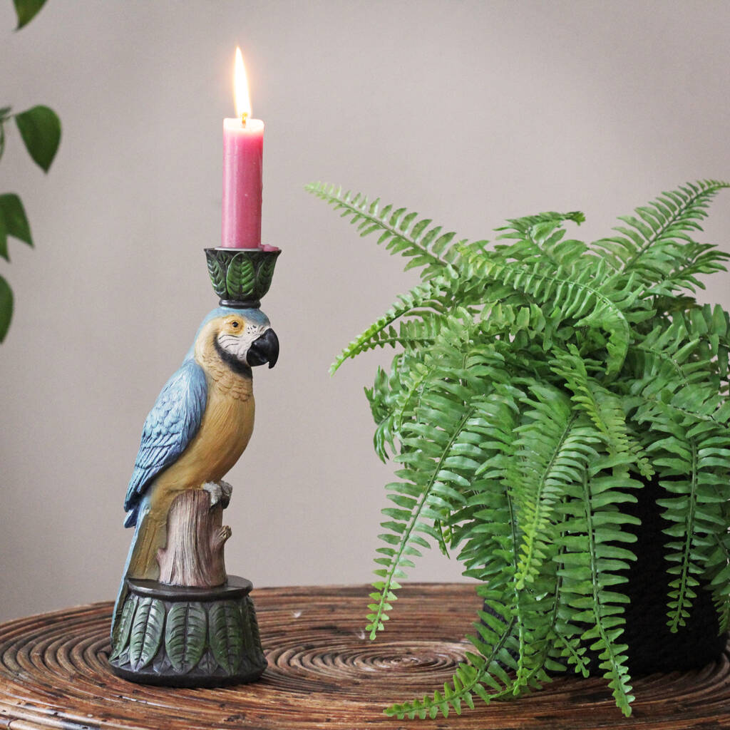 Parrot Candle Hodler
