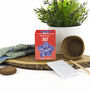 Grow Your Own Birth Flower Choose Your Month, thumbnail 2 of 12