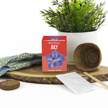 Grow Your Own Birth Flower Choose Your Month, 2 of 12