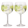 Two Personalised Gin Glasses Gift Set, thumbnail 2 of 8