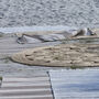 Karna Large Jute Circles Rug, thumbnail 6 of 7