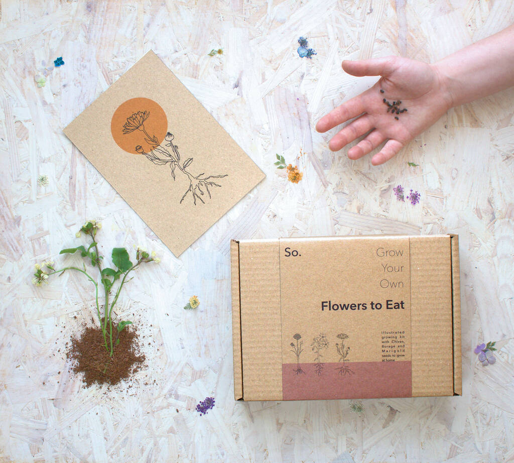 Grow Your Own Edible Flowers Seed Kit By So. Seed Kits