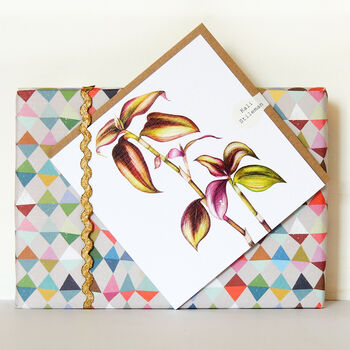 Tradescantia Greetings Card, 2 of 5