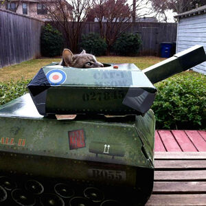 tank cat playhouse