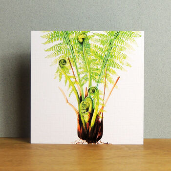 Fern Greetings Card, 3 of 5