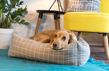 Luxury Grey Patterned Dog Bed, 3 of 6