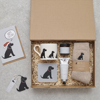Black Cocker Spaniel Dog Walking Socks – The Perfect Gift For Dog Lovers, 6 of 12