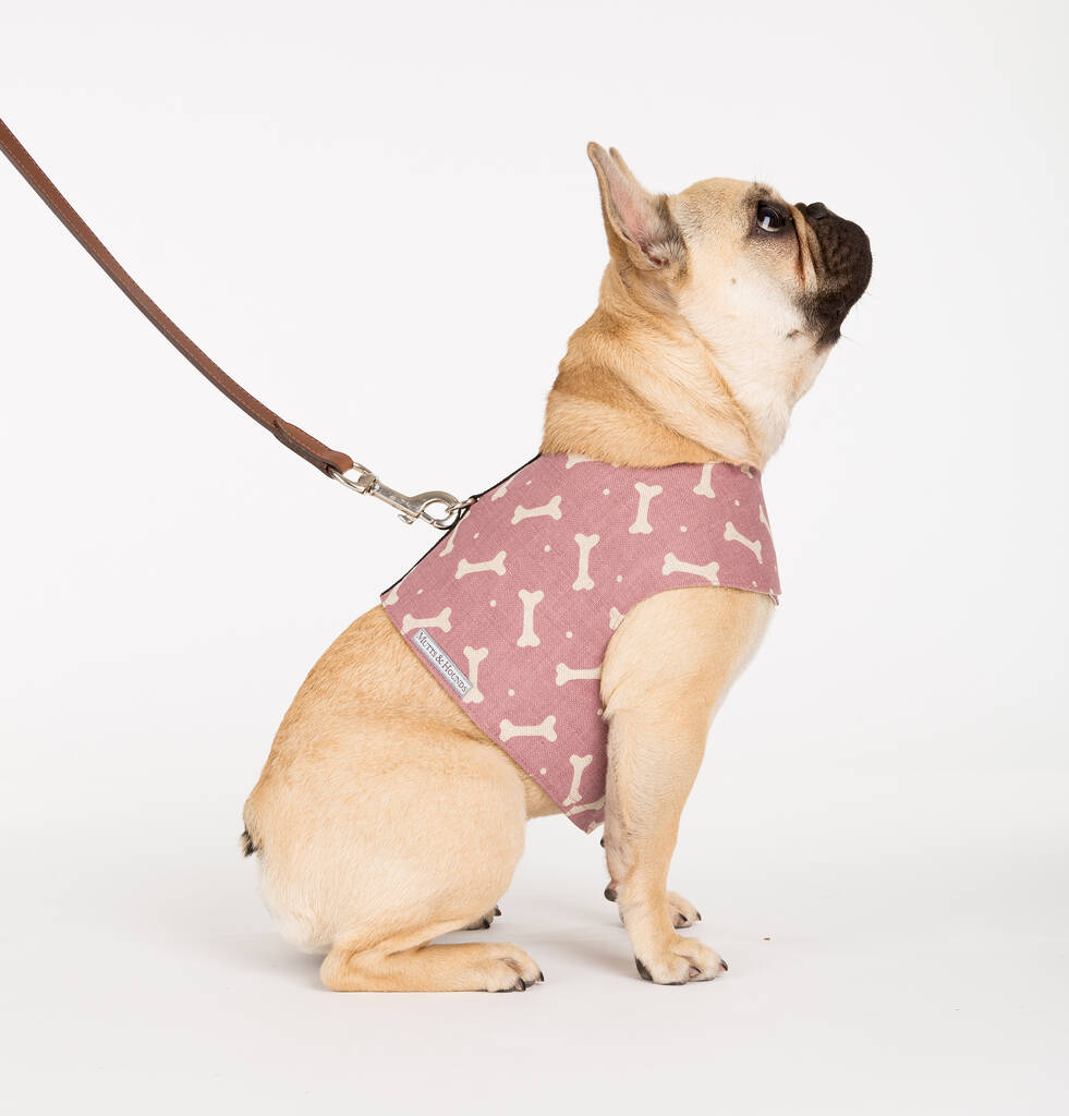 Bone Print Cotton Dog Harnesses By Mutts & Hounds