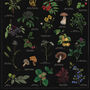 Vintage Noir Botanical Wild Food Print, thumbnail 3 of 9
