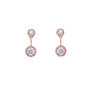 Salisbury Rhodium, Gold Or Rose Gold Plated Earrings, thumbnail 6 of 11