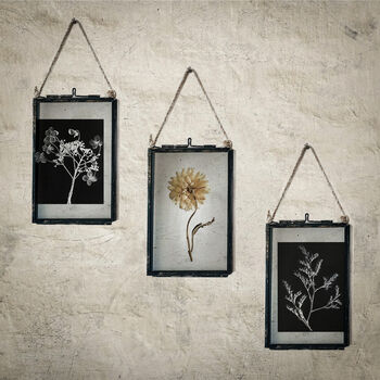 Small Antique Pressed Flower Frame: Straw Flower, 4 of 8